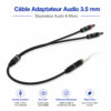 Adaptateur Jack 3.5 mm femelle vers 2 Jack 3.5 mm mâles