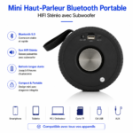 Mini haut-parleur Bluetooth portable HIFI