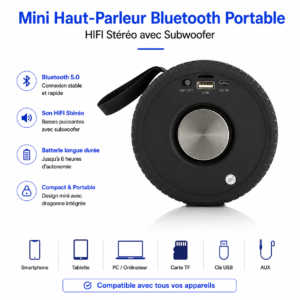 Mini haut-parleur Bluetooth portable HIFI