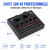 Microphone Professionnel LCT 240 à condensateur pour studio d'enregistrement