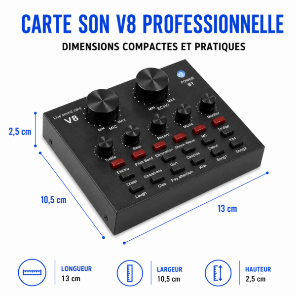 Microphone Professionnel LCT 240 à condensateur pour studio d'enregistrement