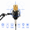 Microphone studio BM800 avec support antichoc et bras réglable