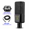 Microphone studio LCT240 avec qualité audio professionnelle