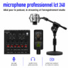 Micro à condensateur LCT 240 pour chant et voix off