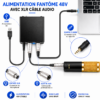 Phantom Power 48V avec filtre anti-interférences audio