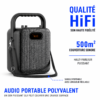 Enceinte Bluetooth 30W avec microphone pour fêtes et anniversaires