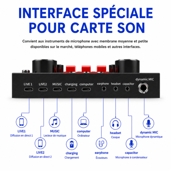 Micro BM800 avec carte son V8S pour TikTok et livestream