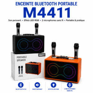 Enceinte Bluetooth Portable M4411 avec 2 microphones sans fil pour karaoké