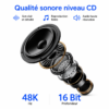 Micro sans fil Plug and Play pour TikTok YouTube et podcast