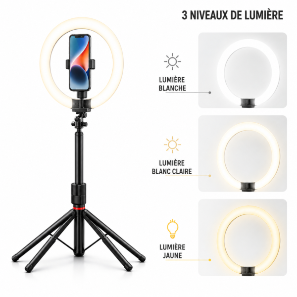 perche selfie bluetooth pour tiktok et youtube
