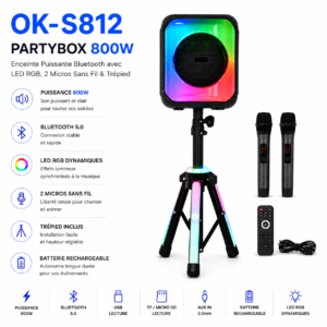 Haut-parleur Bluetooth JBK1407 pour karaoké et événements