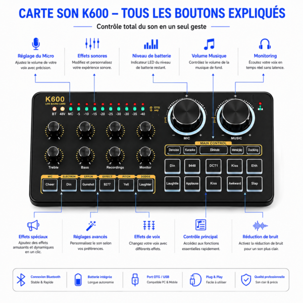 Kit Double Microphone BM800 avec Carte Son K600