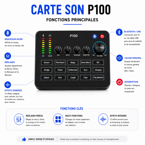 Carte Son P100 multifonction