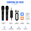 Kit 2 microphones sans fil UHF