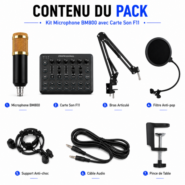 Microphone BM800 avec carte son F11