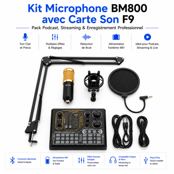 Microphone BM800 avec carte son F9