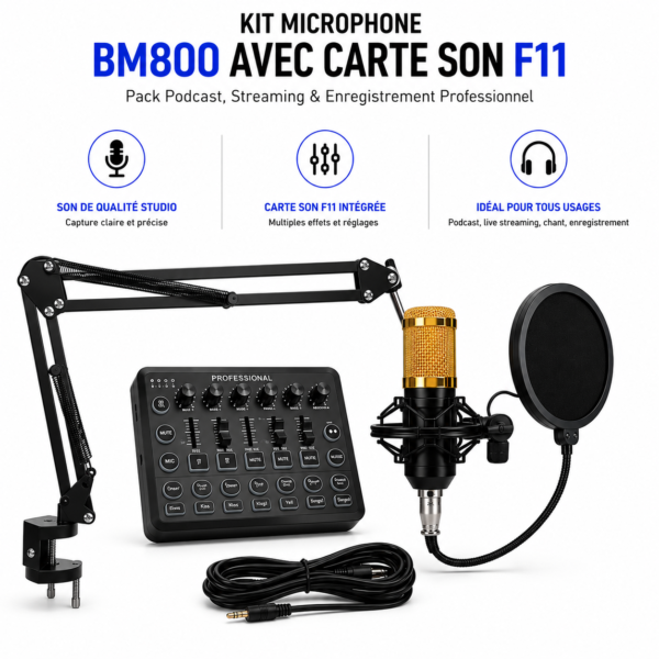 Kit podcast BM800 professionnel