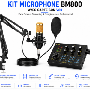 Microphone BM800 avec carte son V80