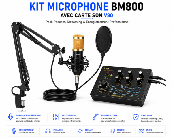 Microphone BM800 avec carte son V80