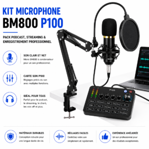 Microphone BM800 avec carte son P100