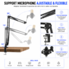 Microphone condensateur BM800 pour streaming