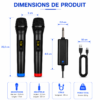 Microphones professionnels sans fil