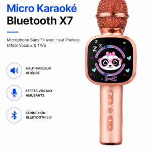 Micro karaoké rechargeable Bluetooth