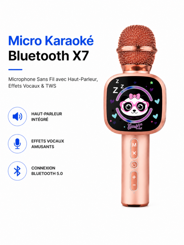 Micro karaoké rechargeable Bluetooth