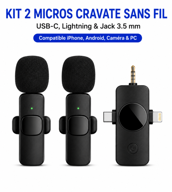 Microphone universel pour caméra et PC