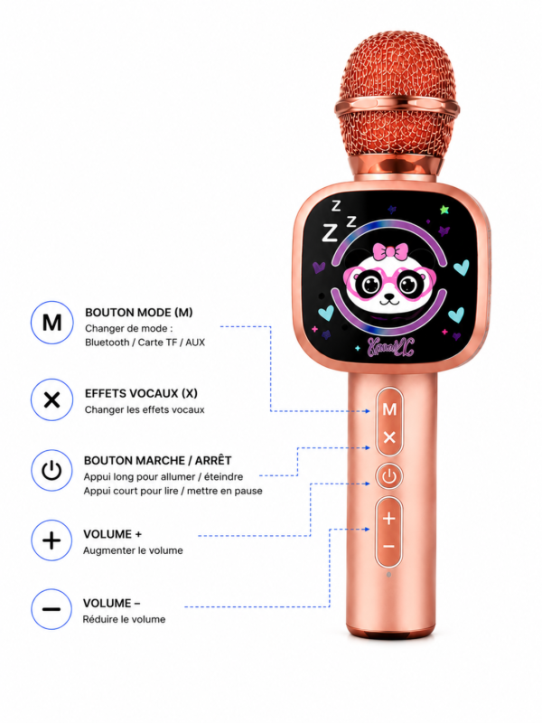 Microphone karaoké TWS Dual
