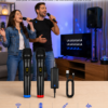 Double microphone sans fil avec récepteur